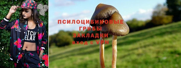 спиды Абинск