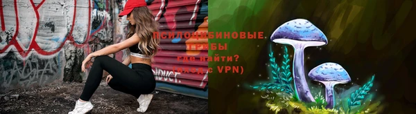тгк Абаза