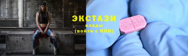 мдпв Новозыбков