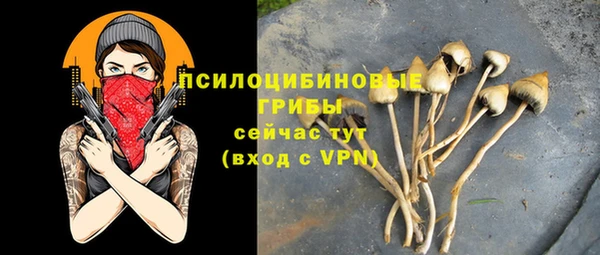 спиды Абинск